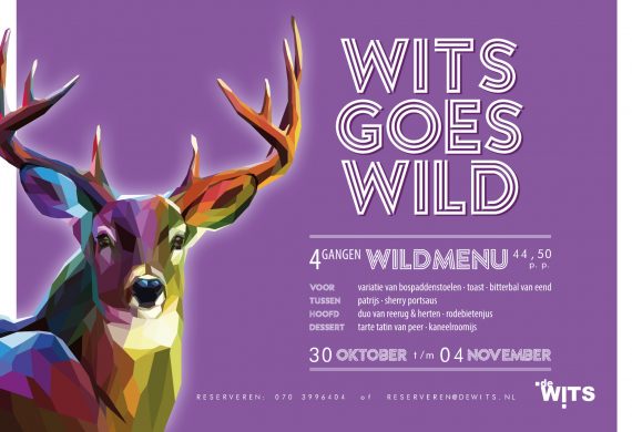 Wits Goes Wild